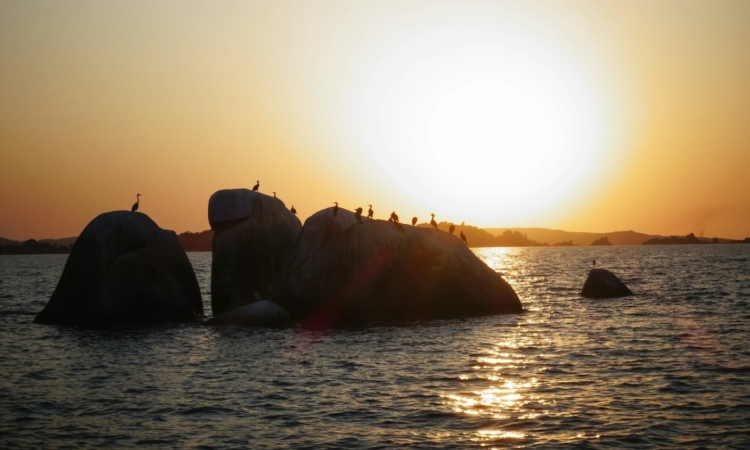 Discover the Location of Rubondo Island in Lake Victoria