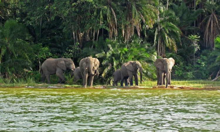 Best Tanzania Tour Operator